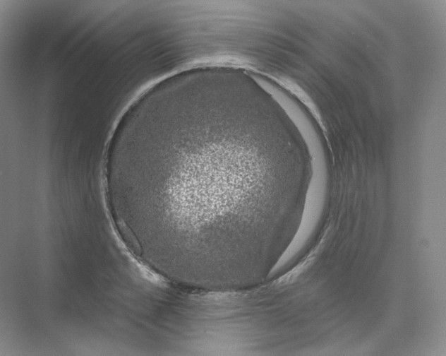 X0000075900989200609291727