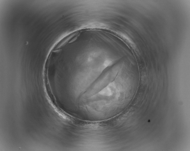 X0000075900990200609291727