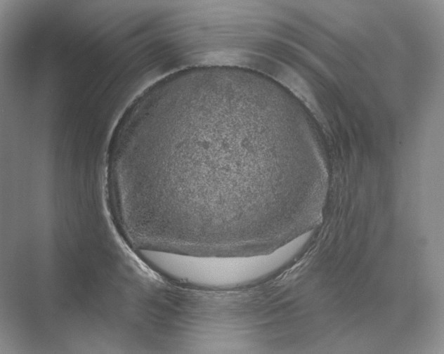 X0000075900992200609291727