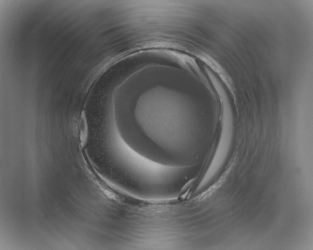 X0000075900993200609291727