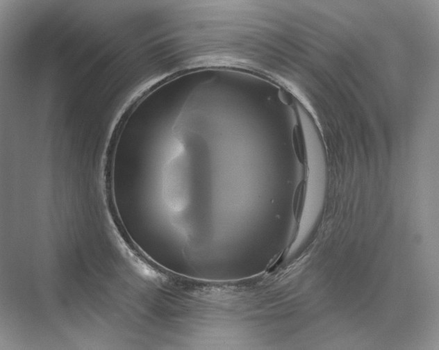 X0000075900995200609291727