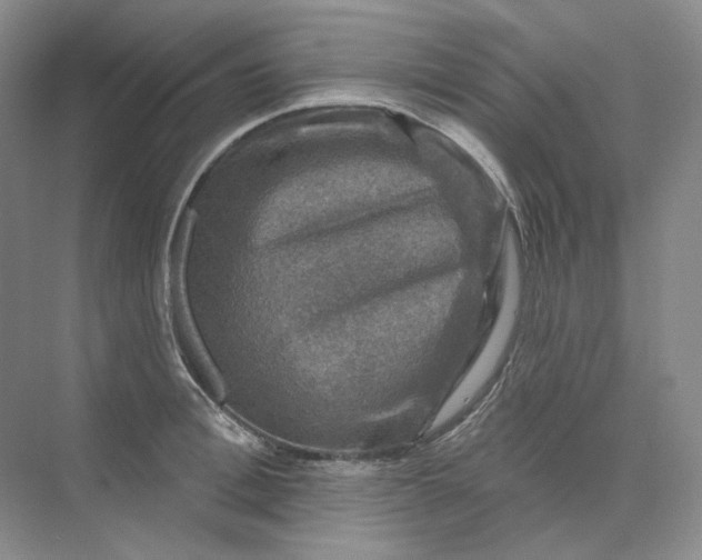 X0000075900996200609291727