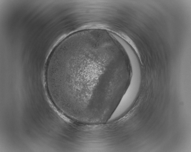 X0000075900997200609291727