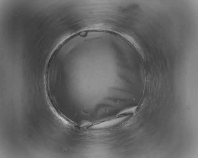 X0000075900998200609291727