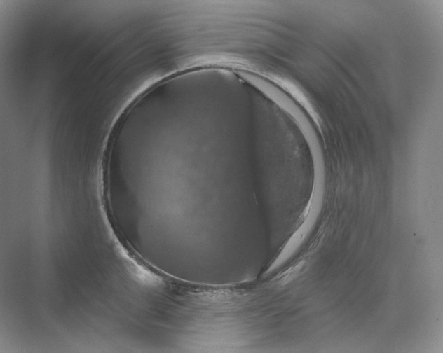 X0000075900999200609291727