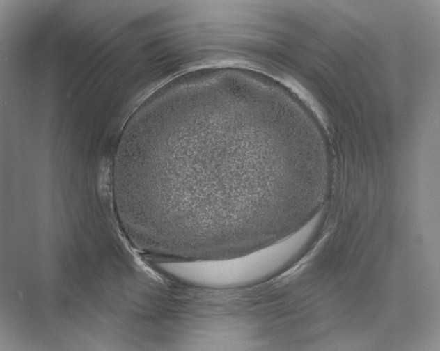 X0000075901001200609291727