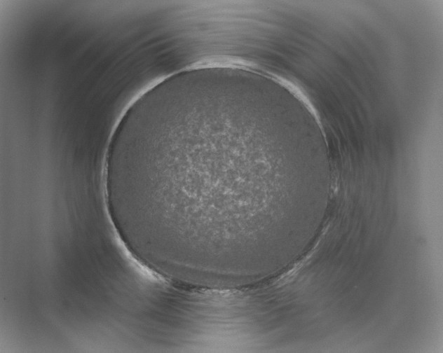 X0000075901003200609291727