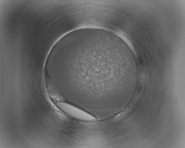 X0000075901004200609291727