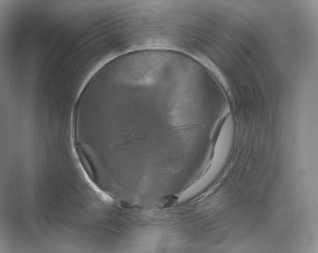 X0000075901006200609291727