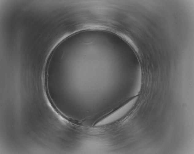 X0000075901007200609291727