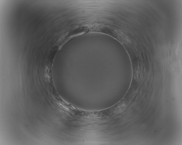 X0000075901010200609291726