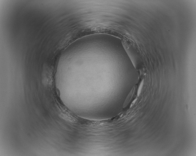 X0000075901012200609291726