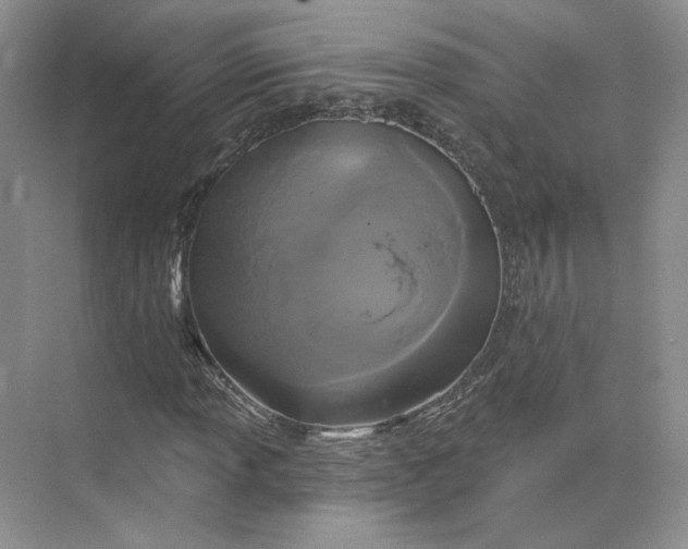 X0000075901013200609291726