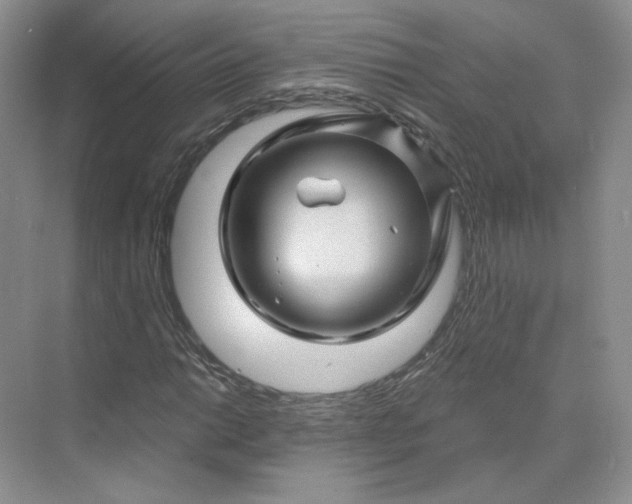 X0000075901014200609291726