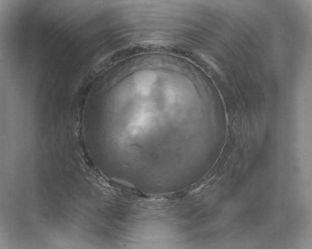 X0000075901015200609291726