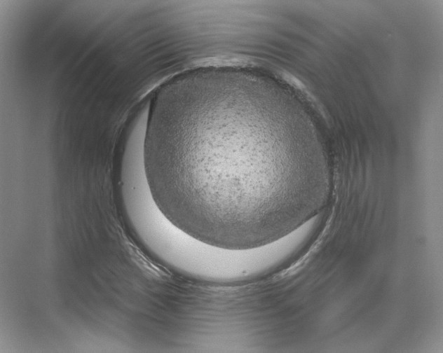 X0000075901017200609291726