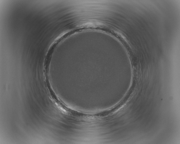 X0000075901018200609291726