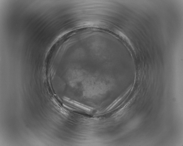 X0000075901019200609291726