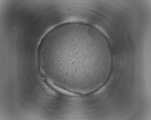 X0000075901021200609291726