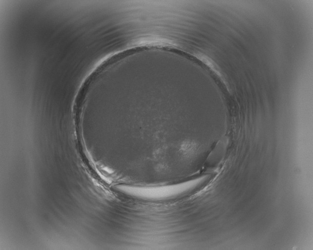 X0000075901022200609291726