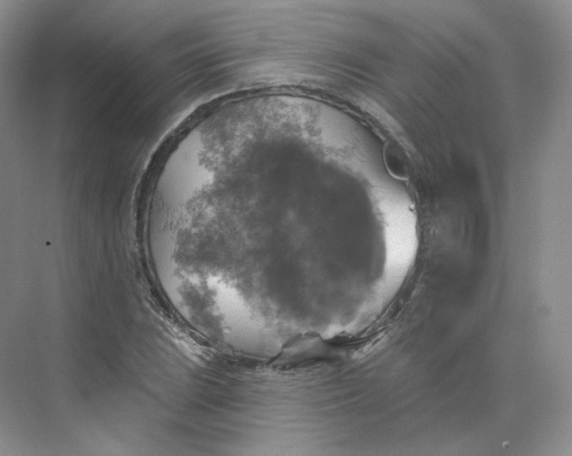 X0000075901023200609291726