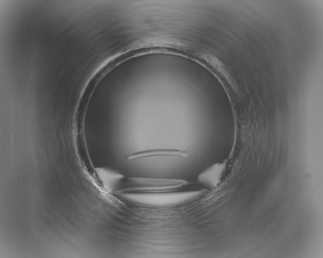 X0000075901024200609291726