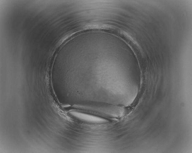 X0000075901025200609291726