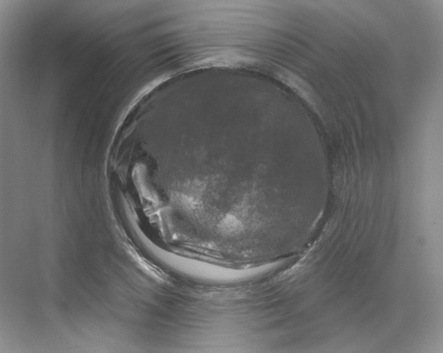 X0000075901026200609291726