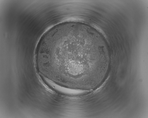 X0000075901029200609291726