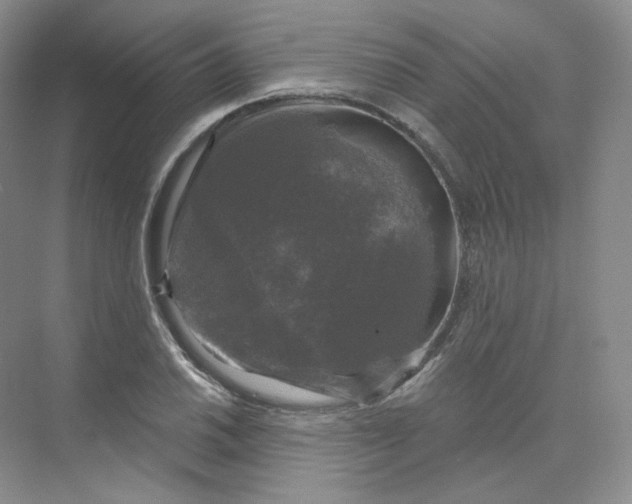 X0000075901030200609291726