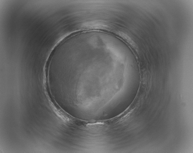 X0000075901031200609291726