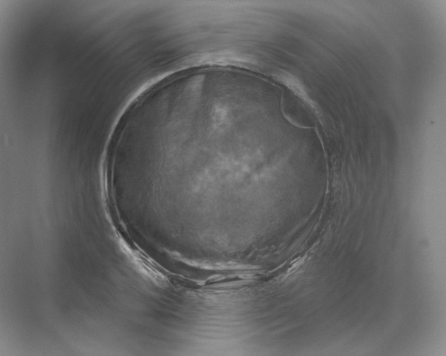 X0000075901032200609291726