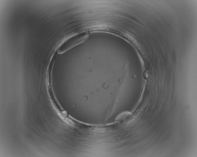 X0000075901034200609291726