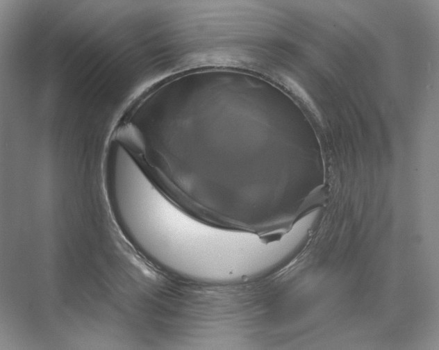 X0000075901035200609291726