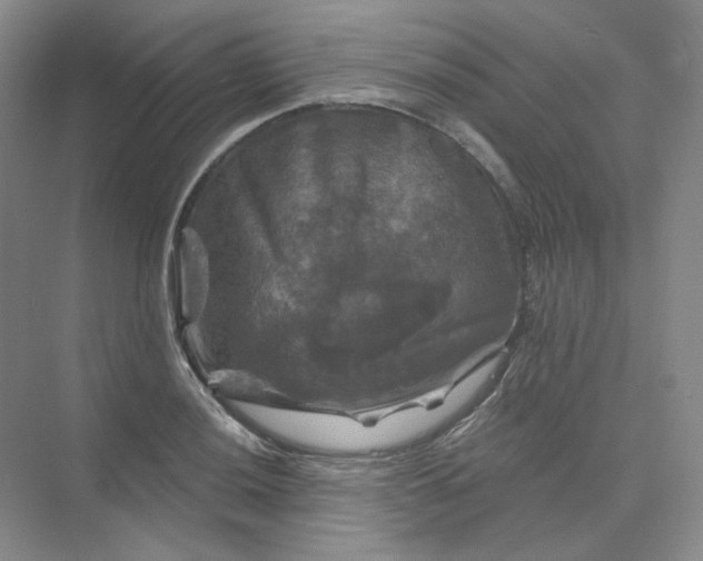 X0000075901036200609291726