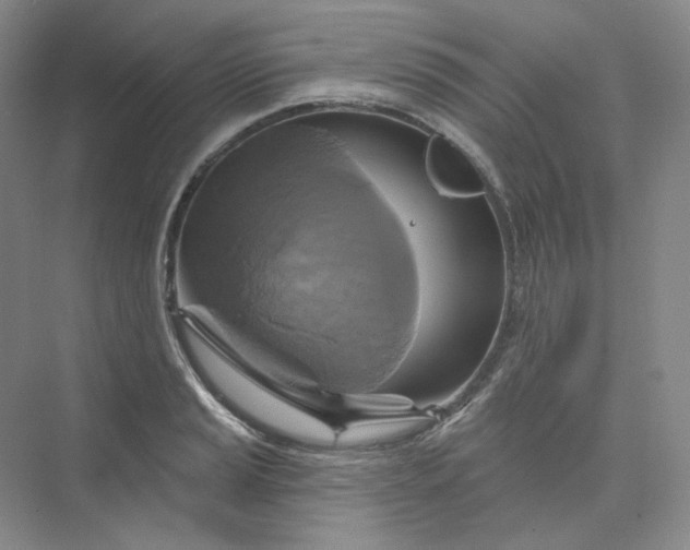 X0000075901037200609291726