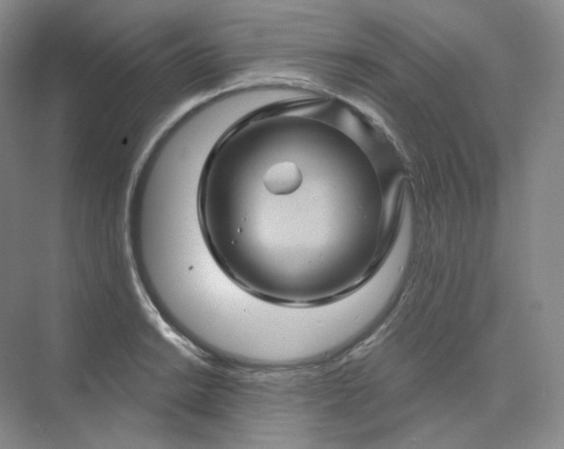 X0000075901038200609291727