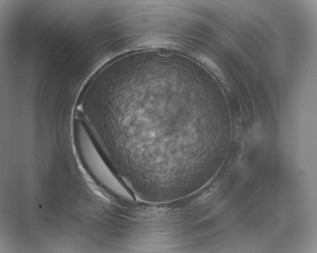 X0000075901039200609291727