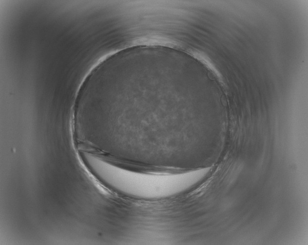 X0000075901040200609291727