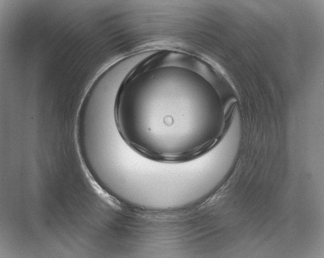 X0000075901042200609291727