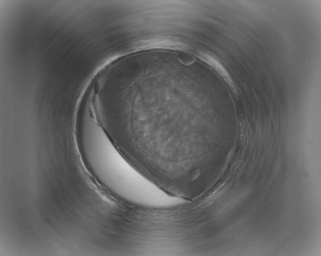 X0000075901043200609291727