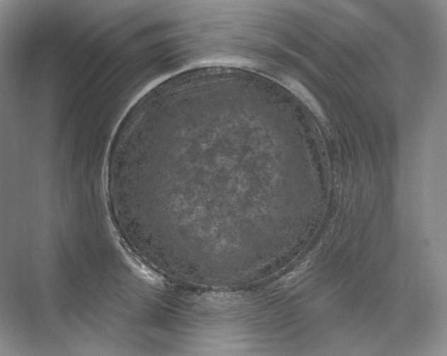 X0000075901044200609291727