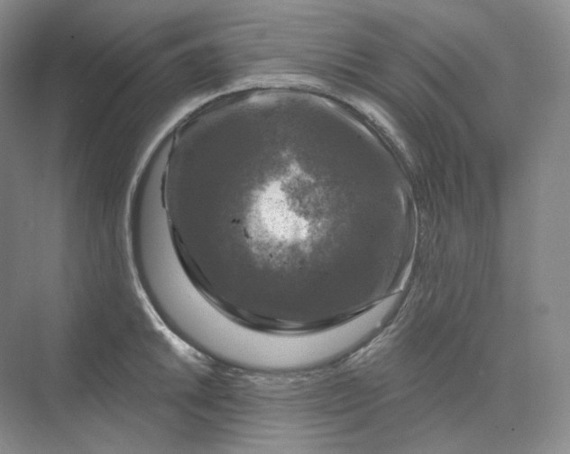 X0000075901046200609291727