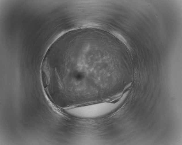 X0000075901047200609291727