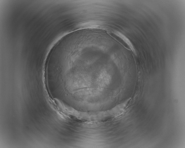 X0000075901051200609291727