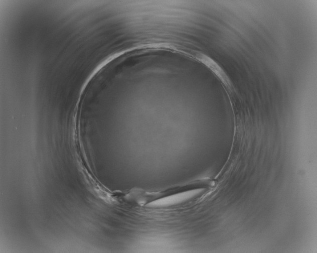 X0000075901052200609291727