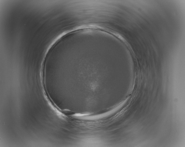 X0000075901054200609291727