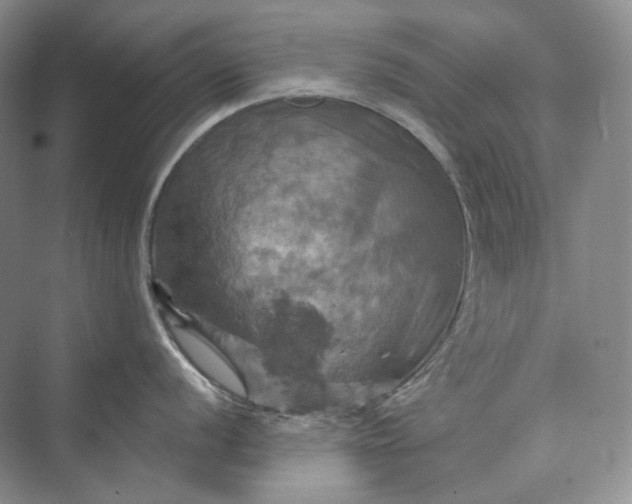 X0000075901056200609291727