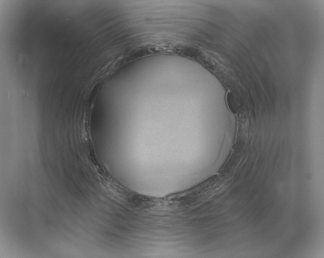 X0000075901060200609291726