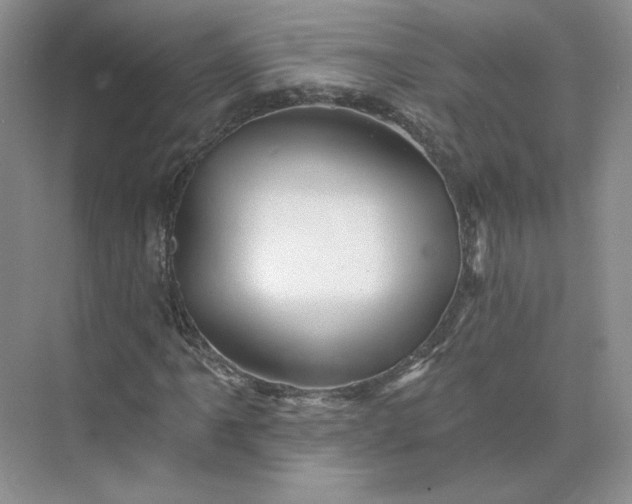 X0000075901061200609291726